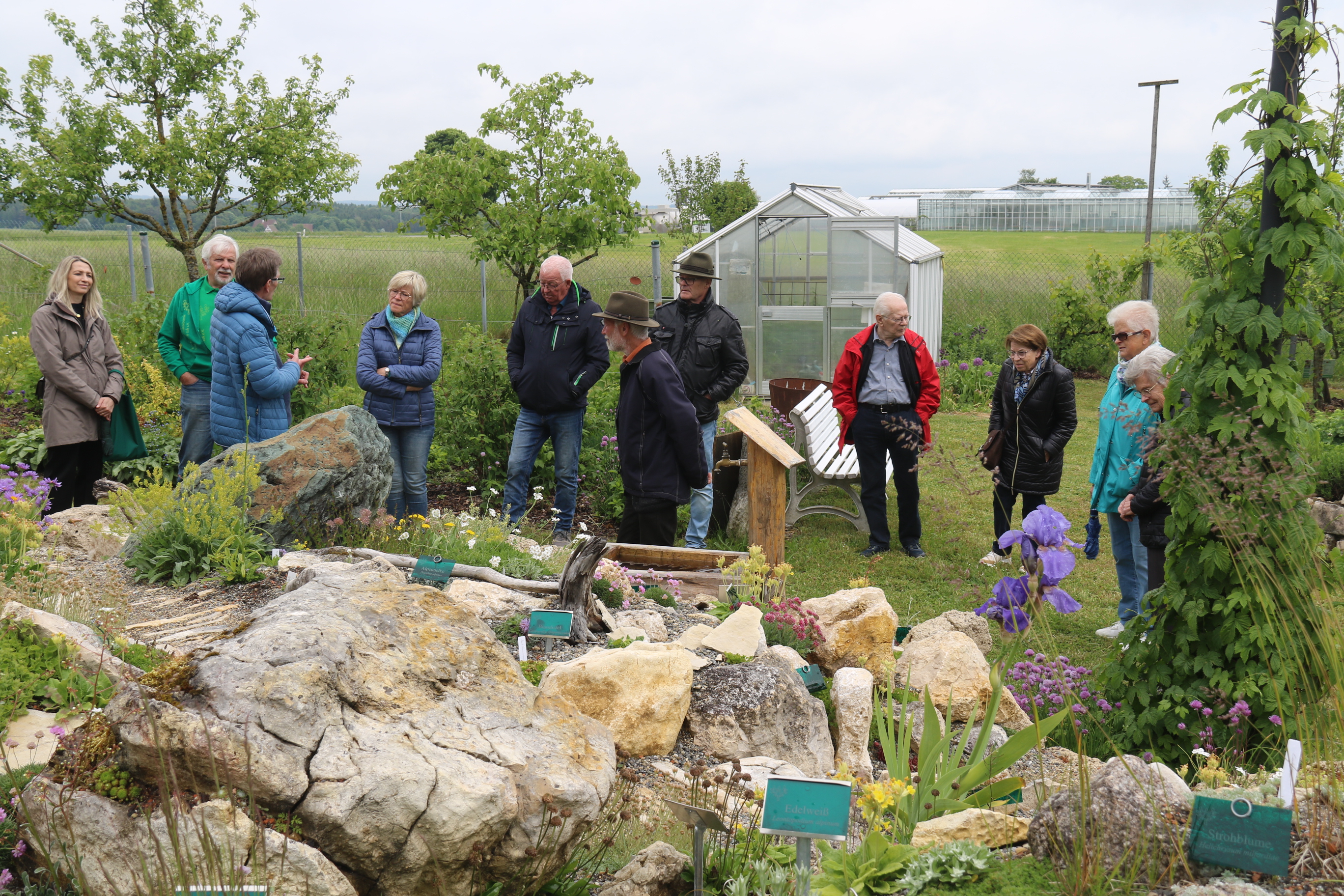 Alpenblühen beim OGV Neuhausen 006