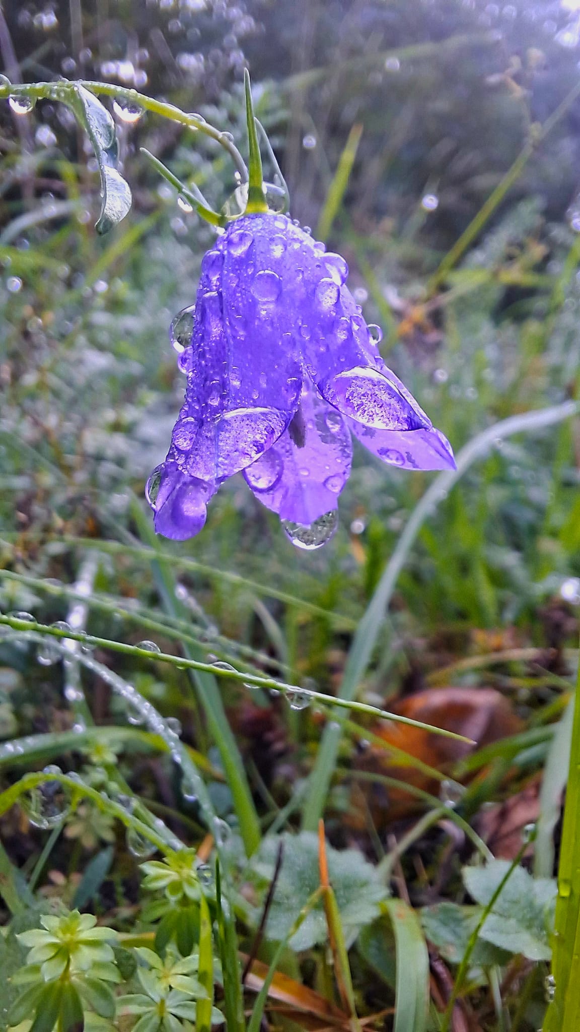 WhatsApp Image 2025 08 31 at 22.27.55