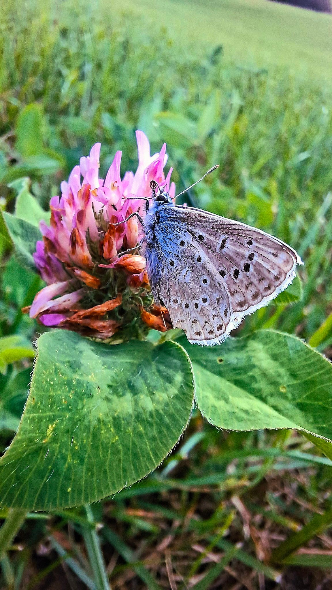 WhatsApp Image 2025 08 31 at 22.27.55a